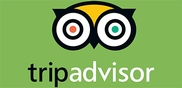 Meet Transfer Testimonials