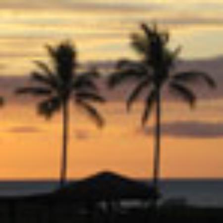 Great service!! | Meet Transfer Testimonials