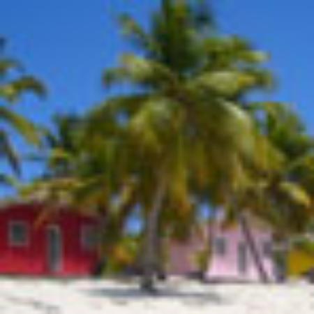 Все отлично! Четко, как в аптеке! | Meet Transfer Testimonials